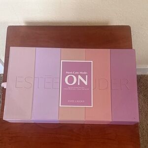 Estee Lauder Pink and Purple Gift Box